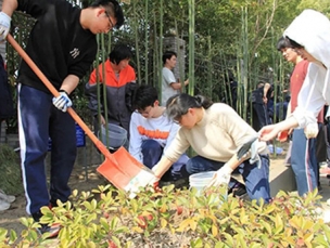 植树节活动 |心向绿洲，成长相伴